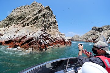 PARACAS! Ballestas Islands + Paracas National Reserve + Candelabro and much more