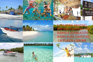 6 + 1 Full Day Isla Saona Tour and Snorkel in Natural Pool Mangroves Uvero Alto