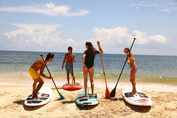 Stand-Up Paddle boarding in Tulum with Snorkeling 1hr