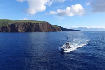 Semi-Private Lanai Snorkeling & Dolphins - Lahaina Maui