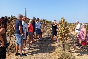 Albufeira Tour: Winery Wine and Tapas Boards