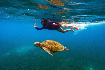 Koh Nang Yuan and Koh Tao 5 Point Snorkeling Tour