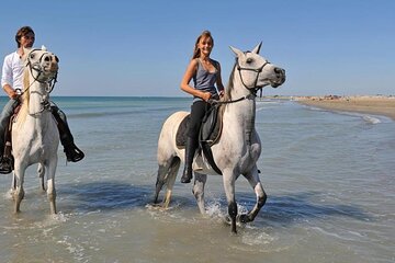 Adventure Safari By Horse In Sharm El Sheikh