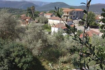 Olive oil tour - from Athens