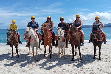 Beach Horseback Riding & Snorkel Combo