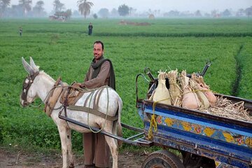 Half-Day Egypt Country Side Farm Tour with Pick Up