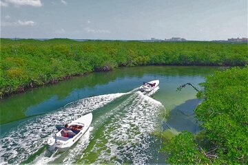 Individual Jungle Tour - Speed Boat at Nichupte Lagoon & Snorkel