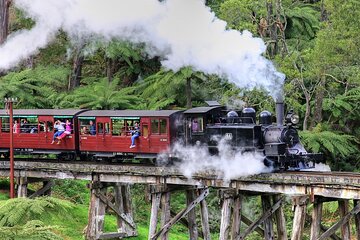 Puffing Billy And Healesville Sanctuary Scenic Tour