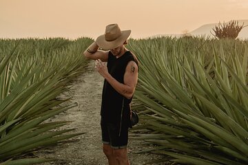 The Mezcal Journey