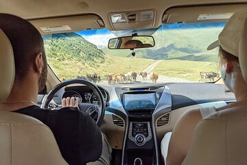 Kazbegi, Gergeti, Gudauri, Ananuri, Mtskheta | Tatin Travel 