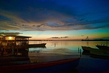 Luminous Lagoon Night Experience From Montego Bay