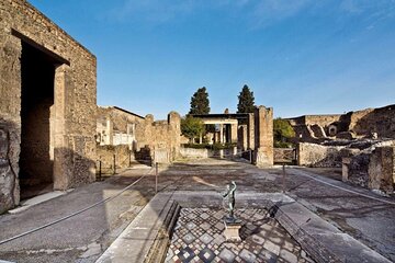 Private Pompeii Tour with lunch and Olive Oil Factory Experience