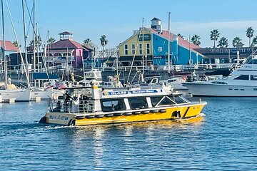 Long Beach Glass Bottom Boat Eco-Tour