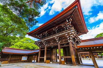 Tokyo 6 hour Tour : English Speaking Driver Only, No Guide