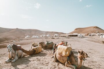 Marrakech Day Trip to Agafay Desert