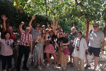 Maipo Valley litle wine bus from Santiago