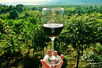 Wine Tour of the Chianti Region