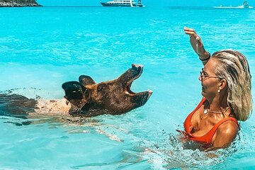 Nassau to Exuma Full-Day Trip Experience 