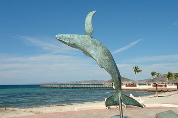 La Paz, Todos Santos, Balandra or Tecolote Beach Tour 