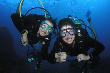 Intro/Refresher Dive Swim Ability Required