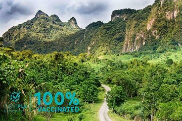 Round The Island Day Trip Fiji- Viti Levu