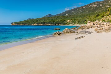 Wine Tour in Azeitão and Setúbal with Arrábida Beaches