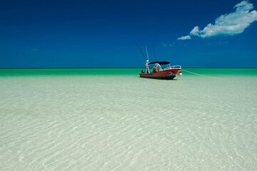 Holbox adventure and Pasion Island Cenote 