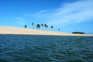 Foz do Rio São Francisco Tour from Maceió