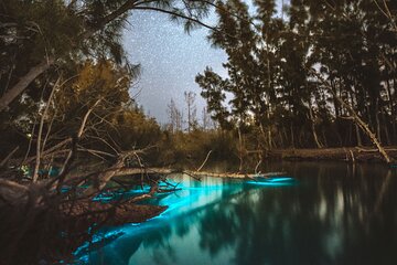 Bioluminescent Clear Kayak Tours in Titusville