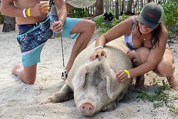 Ultimate SeaXscape: Swim with Pigs/Turtles/snorkel/Lunch/Shuttle