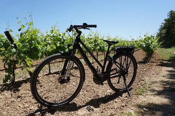 The wines of Provence.... a must to discover !