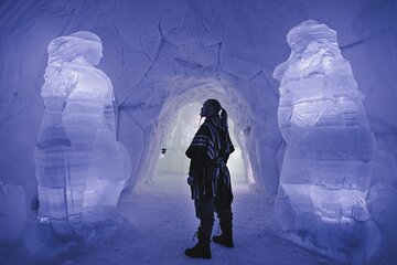 Tromsø Ice Domes Guided Tour and Reindeer Visit