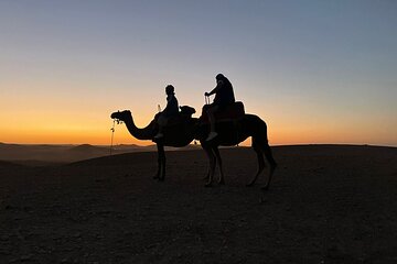 Private Agafay camel ride