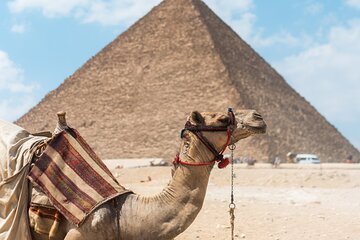 Package 7 Days 6 Nights to Pyramids & The Nile 