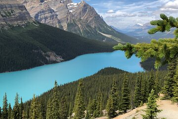 Icefields Pkwy: Lake Louise | Bow Lake | Peyto Lake | Glacier - PRIVATE DAY TOUR