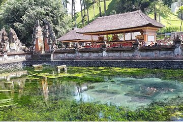 Highlight Ubud Temple, Rice Terrace including Waterfall