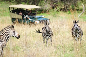 Hwange Day Trip