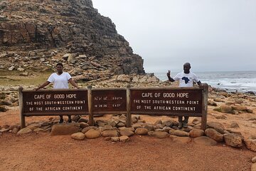  Cape of Good Hope & Penguins Boulder's Beach in Private Car 