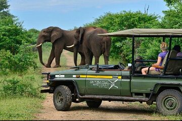 Game Drives in the Zambezi National Park