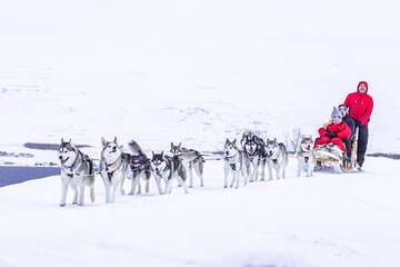 Dogsledding, near Akureyri