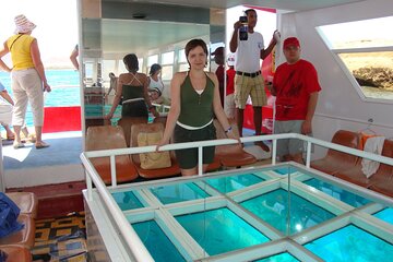 Private Transportation Tour Glass Bottom Boat In Sharm El Sheikh