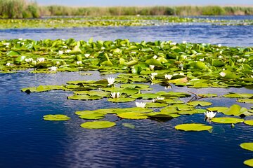 Private 8 Day Tour to Transylvania and the Danube Delta