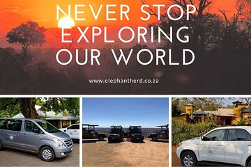 Private Arrival Transfer: Johannesburg Airport to Mpumalanga