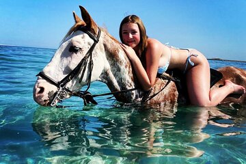 3 Hours Swimming By Horse in Red Sea Riding on the Beach and Dessert - Hurghada