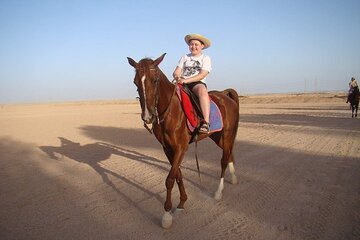 One Hour Horse or Camel Riding with Transfer- Sharm El-Sheikh