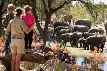 Nyerere ( Selous) National park,game drive, walking safari, & boat