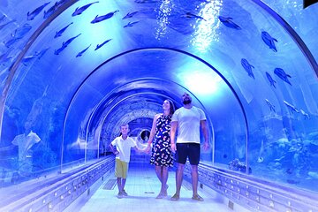 Grand Aquarium Hurghada Amazing Tour With Transfer - Hughada