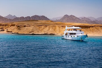 Ras Mohamed Snorkeling Full Day Sea Trip by Boat with Lunch - Sharm ElSheikh