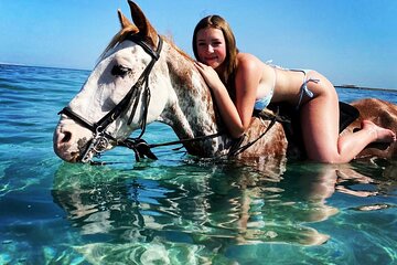 Horse Riding 3 Hours Beach, Desert, & Swimming By Horse in red sea - Hurghada