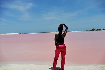 Explore Las Coloradas & Rio Lagartos from Riviera Maya & Tulum